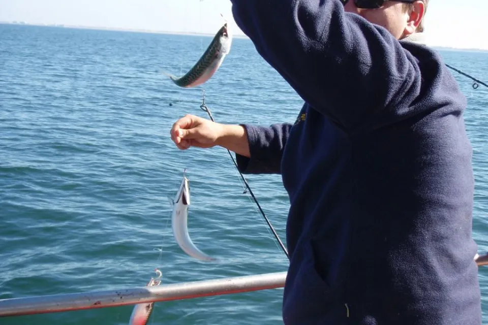Pêche à la ligne au large de la Vendée