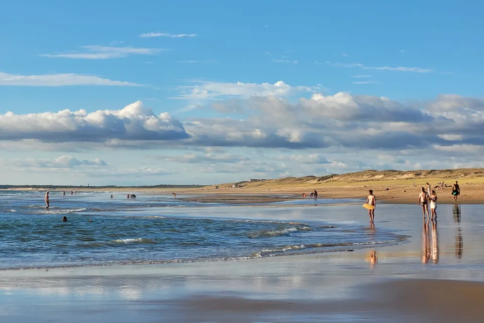 Plage, surf & balades en forêt au programme