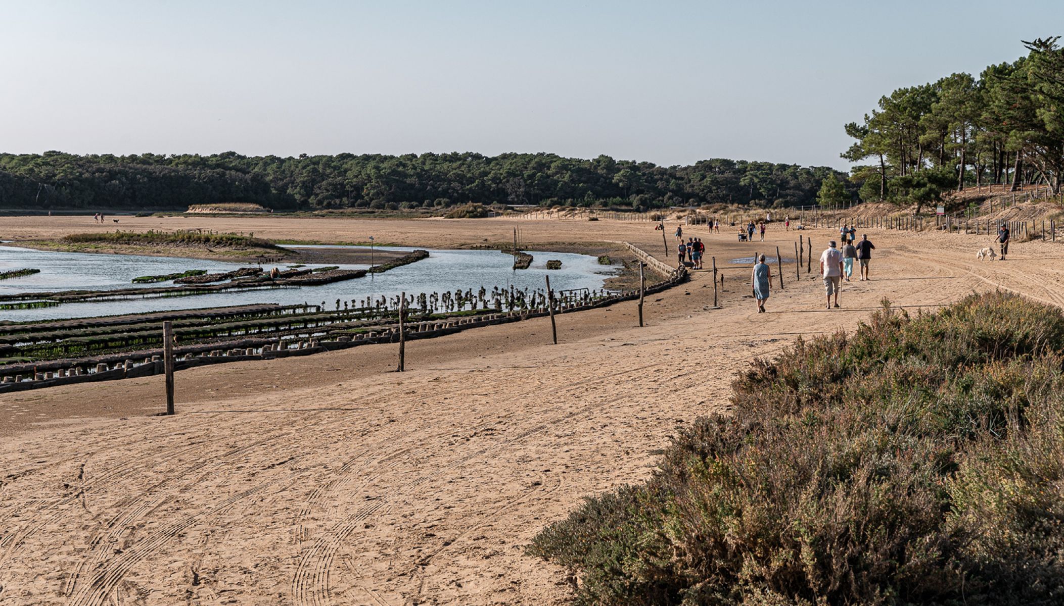 Talmont-Saint-Hilaire : 3 raisons de succomber au charme de l’estuaire du Payré