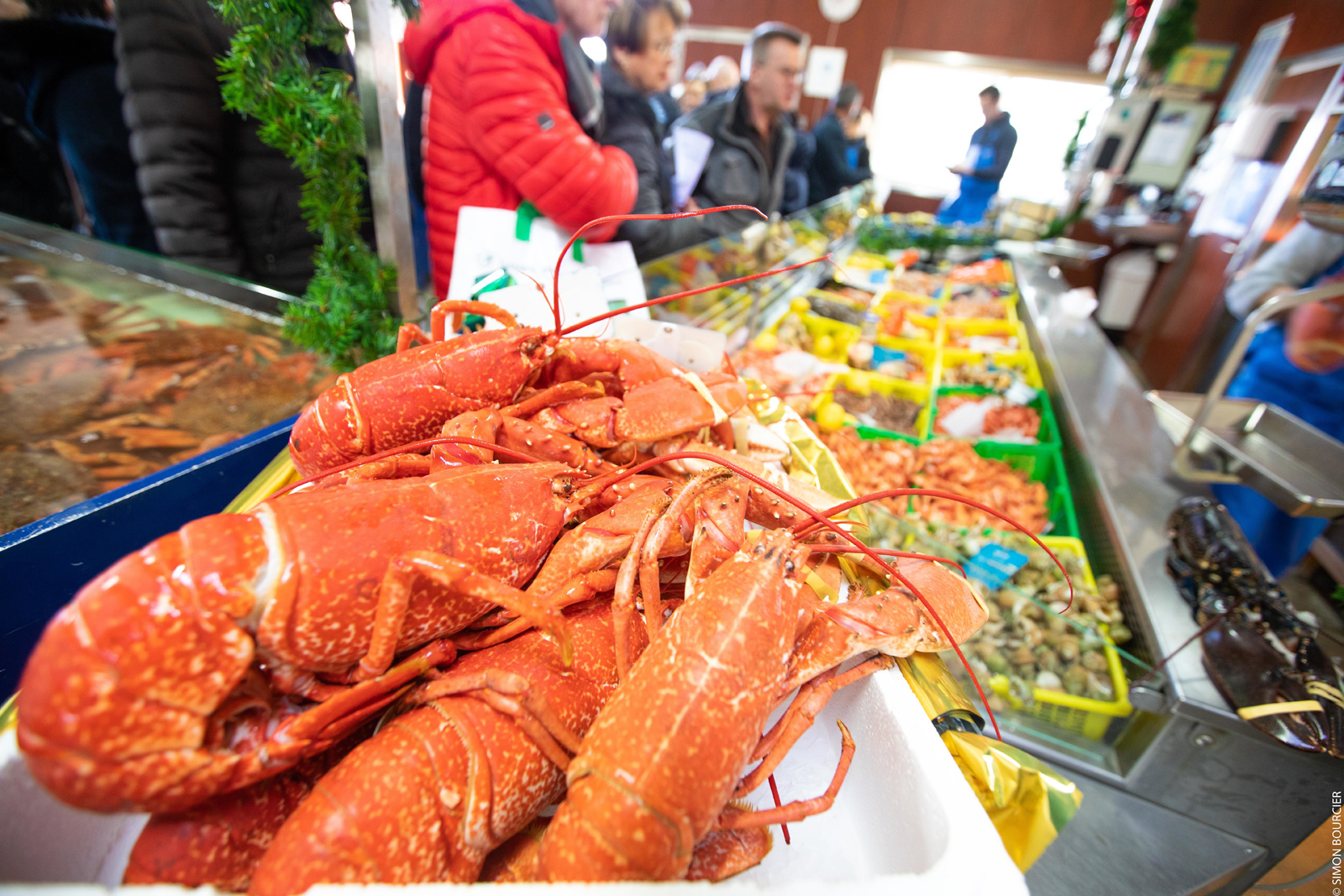 Meilleures ventes poissons, coquillages et crustacés - La Fine Marée