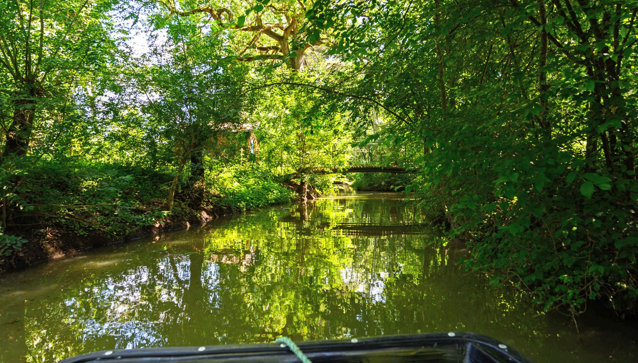 10 expériences insolites immanquables en Vendée
